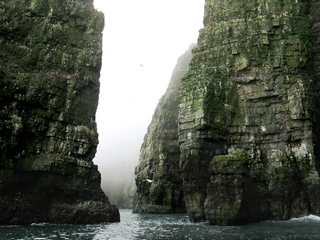Bjørnøya, Svalbard (Остров Медвежий, Шпицберген)